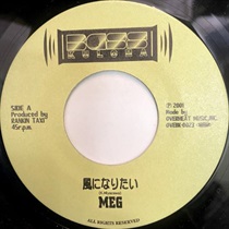 風になりたい (USED)