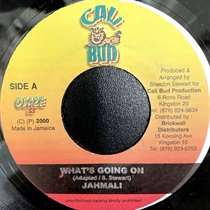 WHAT'S GOING ON (USED)