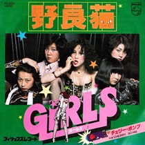 野良猫 (USED)