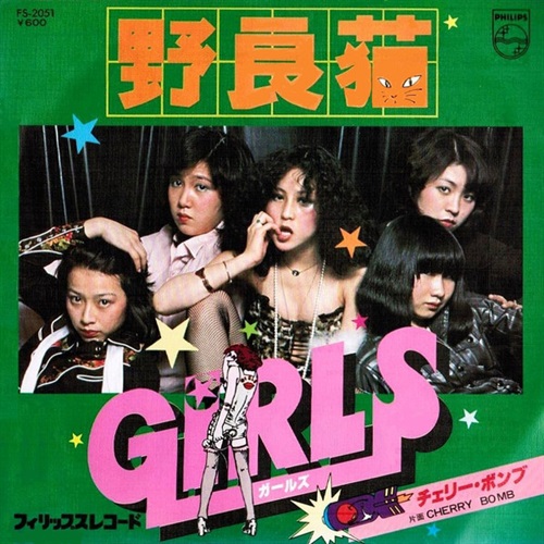 野良猫 (USED)
