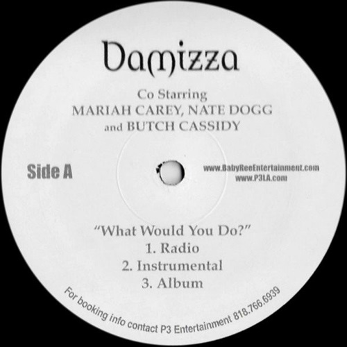 WHAT WOULD YOU DO (USED)