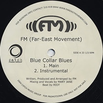 BLUE COLLAR BLUES (USED)