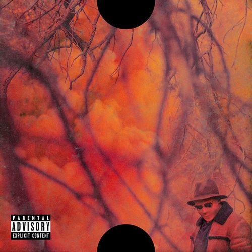THE BLANK FACE LP