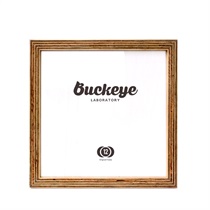 12INCH RECORDS FRAME 
