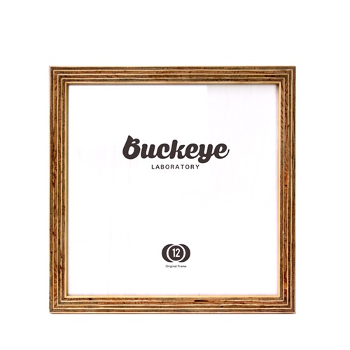 12INCH RECORDS FRAME 