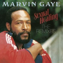 SEXUAL HEALING THE REMIXES 