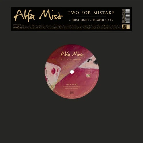 TWO FOR MISTAKE