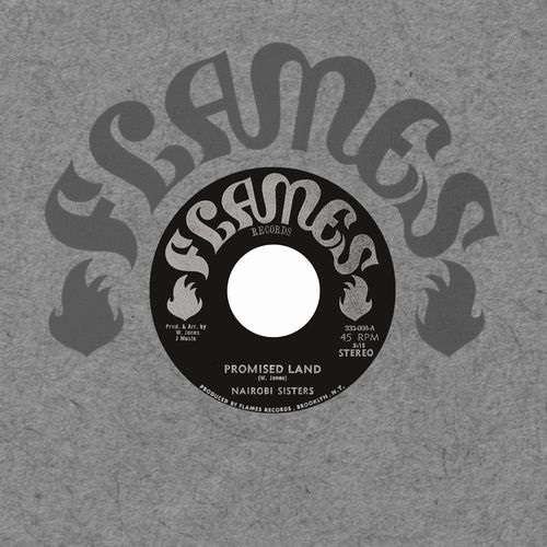PROMISED LAND/PROMISED LAND DUB (LIMITED EDITION)