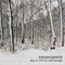 SOON IT WILL BE COLD ENOUGH (CD)